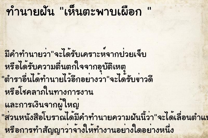 ทำนายฝัน เห็นตะพาบเผือก 